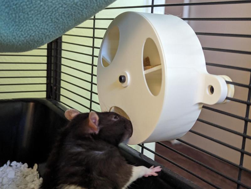 Simple Rat Foraging Wheel