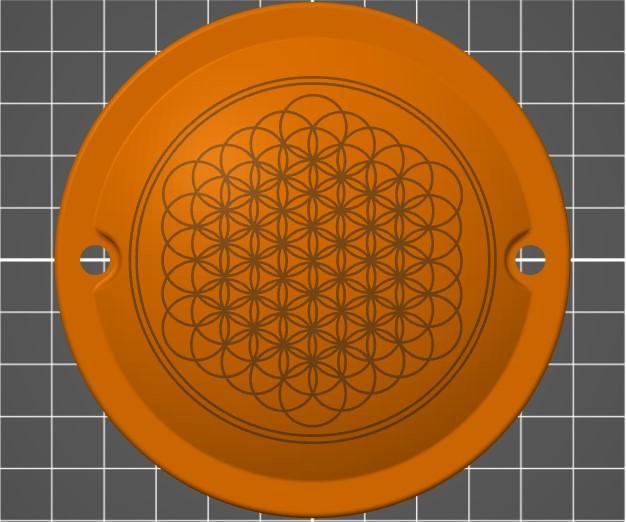 THIS. IS. SANDPIT TURTLE!