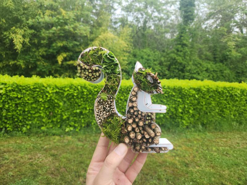 Hôtel à Insectes Ecureuil