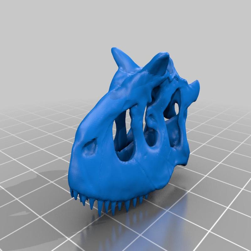 Carnotaurus sastrei Skull