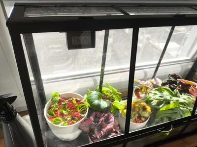 Humidity Sensor for IKEA ÅKERBÄR Greenhouse