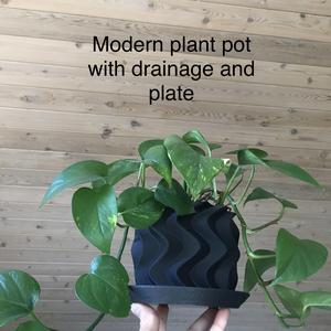 Modern plant pot with drainage and plate