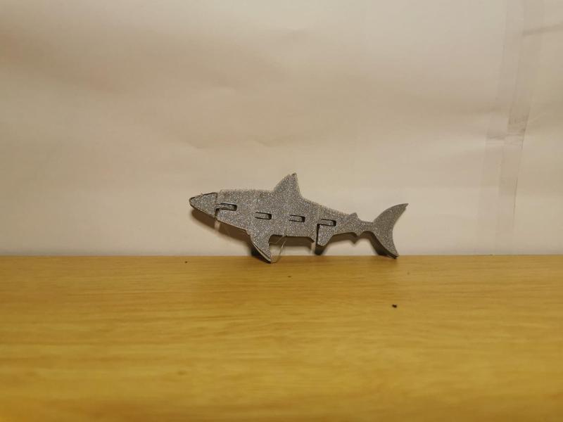 Flexi Shark