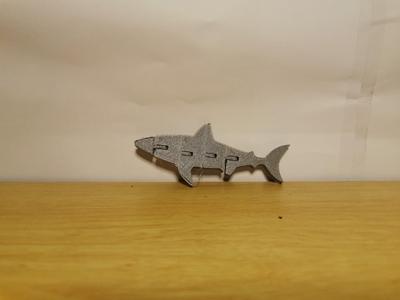 Flexi Shark
