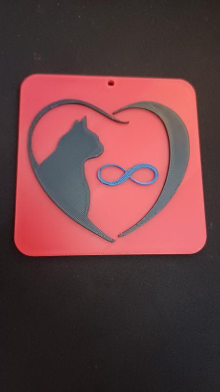 cat, 8 lives / infinity