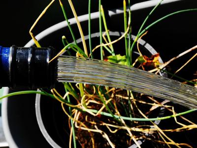 Spout for watering cans