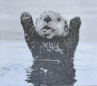 Hands up, Otter! Hueforge wall art