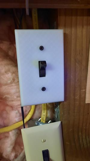 Switch Plate