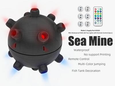Sea Mine