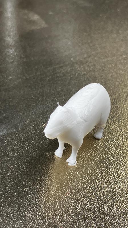 Capybara lowpoly