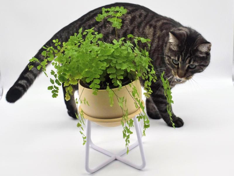 Iso-Pot Indoor Planter and Stand