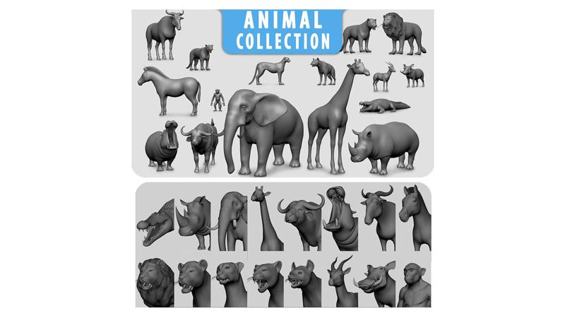 16 Wild Animal Collection