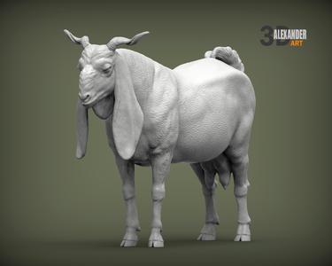 Gulabi goat 3D print model