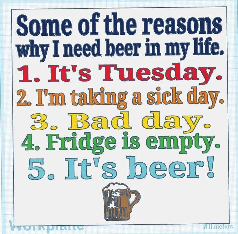 Why I Need Beer in My Life Sign   