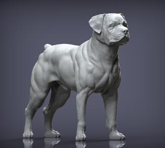 rottweiler 3D print model