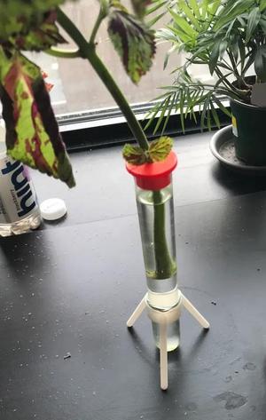 Test tube stand   