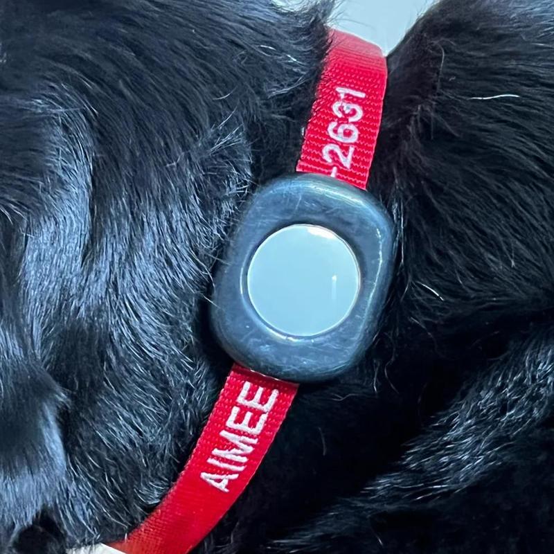 AirTag Adapter for Dog Collars   