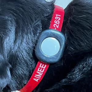 AirTag Adapter for Dog Collars   