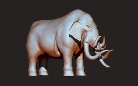 Elephant V.1