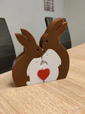 Remix of Bunny Family   