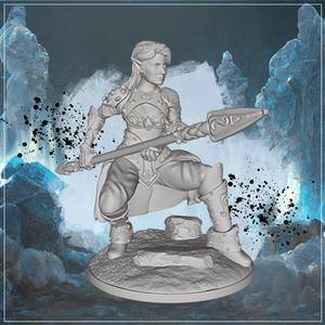 Heavy Armor Female Elf 2