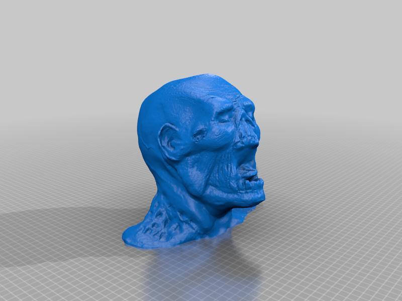 Zombie Head