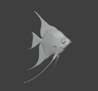 Angel Fish / With stand   