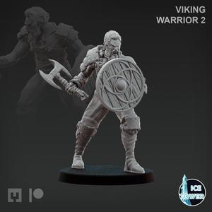Viking - Warrior 2