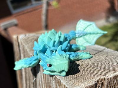 Turtle Dragon