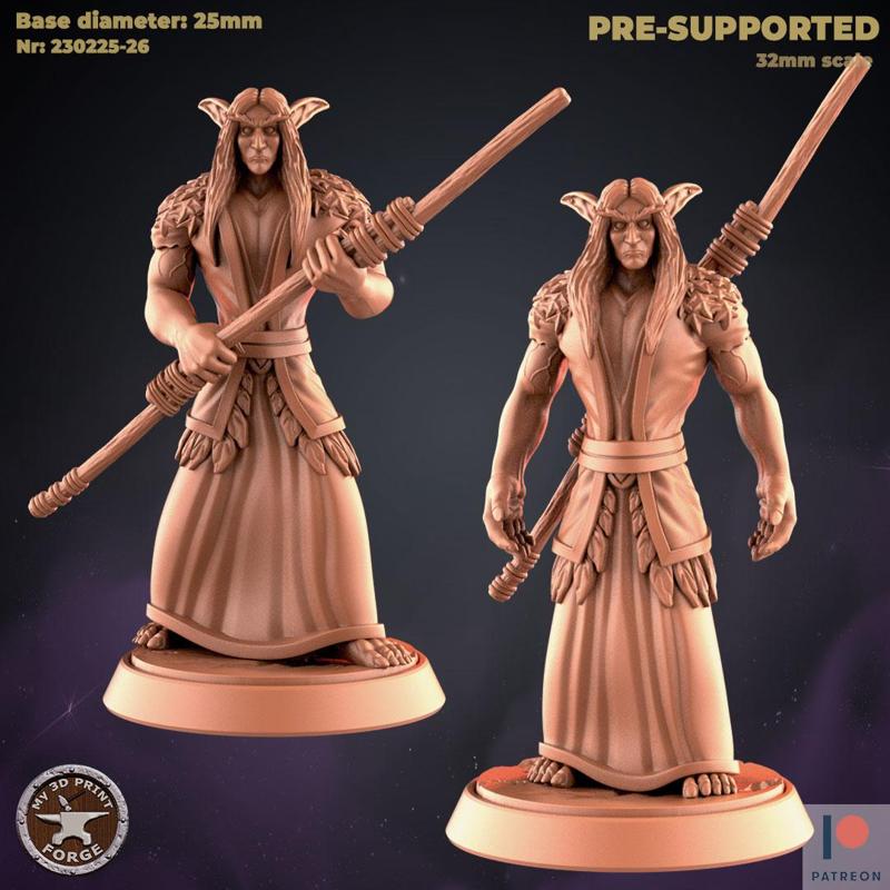 Low Gear Elf Druid TWO MODELS