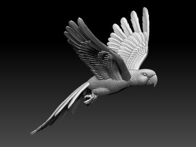 parrot