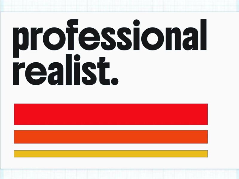 Professional Realist – Wall Plate   