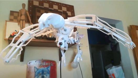 eagle