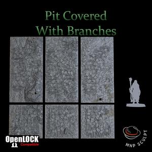 Pit Covered With Branches