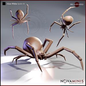 Giant Widow Spider 01