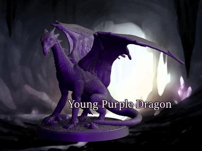 Young Purple Dragon