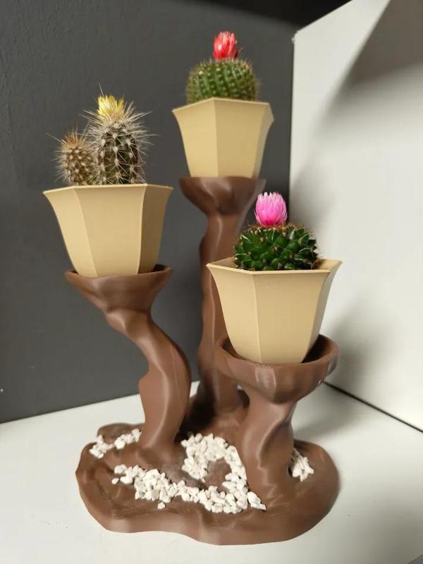 Anna CactusPot with organic stand   