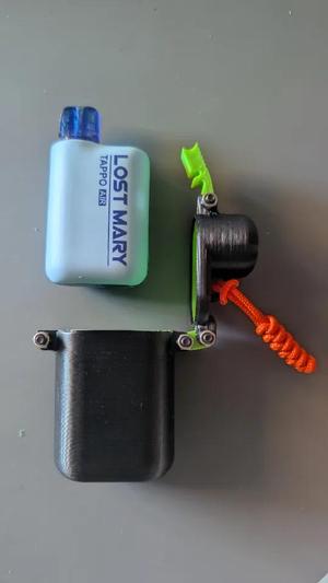 Lost mary Tappo Air Case   