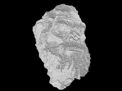 Neanderthal Head 3D Model