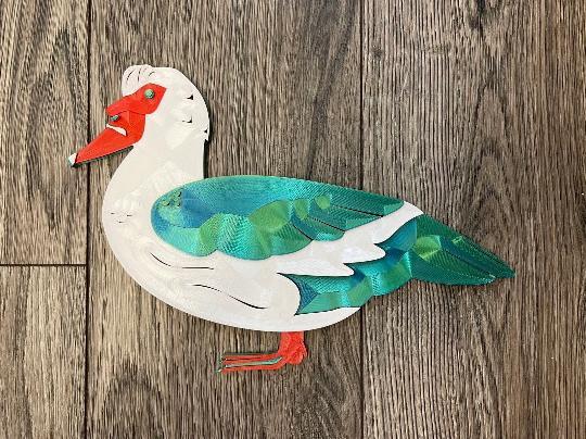 Muscovy Duck Wall Art Commercial