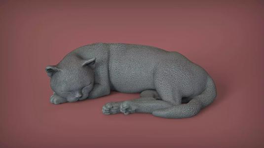 Sleeping Cat