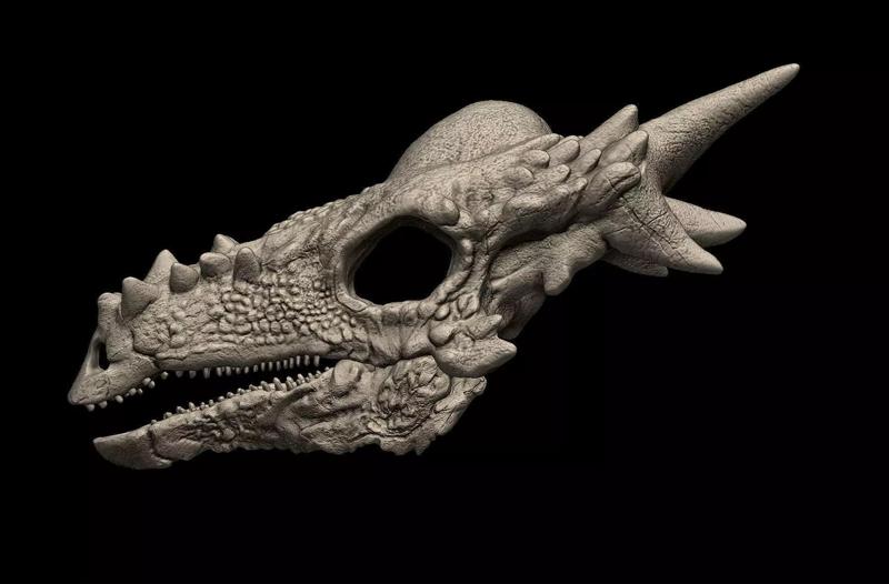 Stygimoloch Skull 3D Print Model