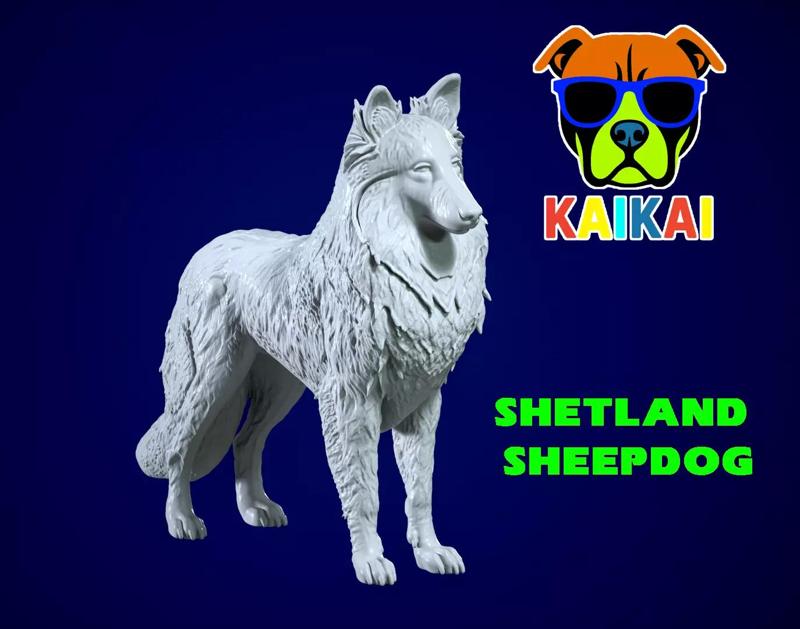 Shetland Sheepdog - Dwarf Scotch Shepherd model - 3D print
