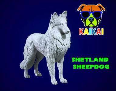 Shetland Sheepdog - Dwarf Scotch Shepherd model - 3D print