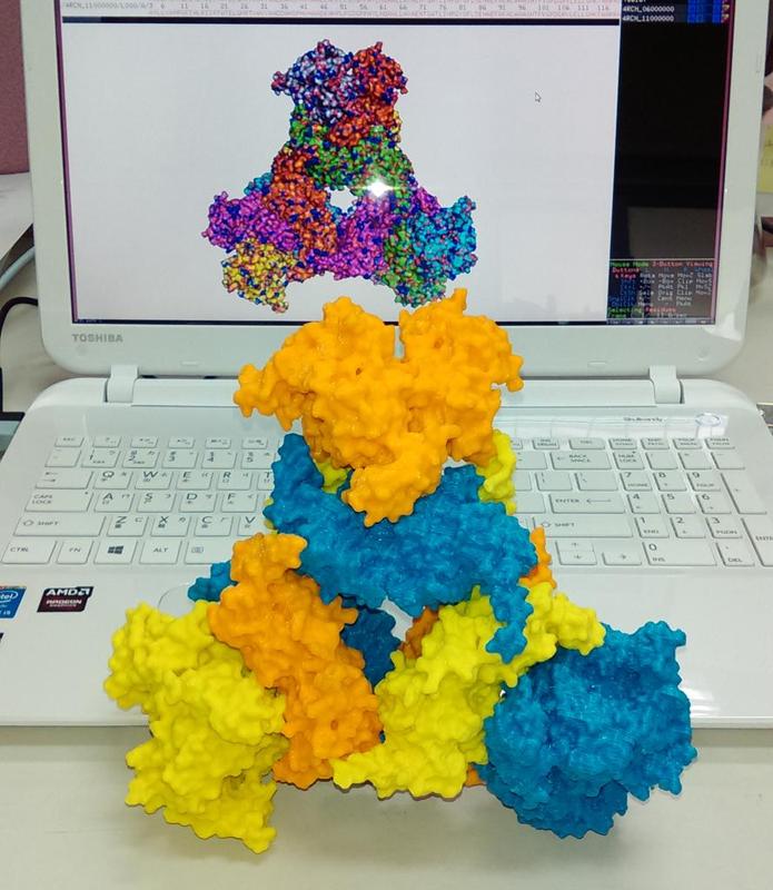 Long chain acyl-CoA carboxylase