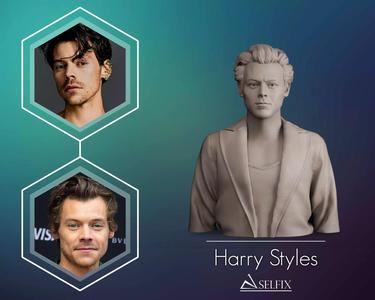 Harry Styles Bust