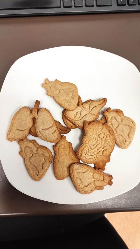 Human organs cookie cutters