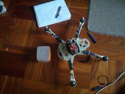 Live Puppy quad frame