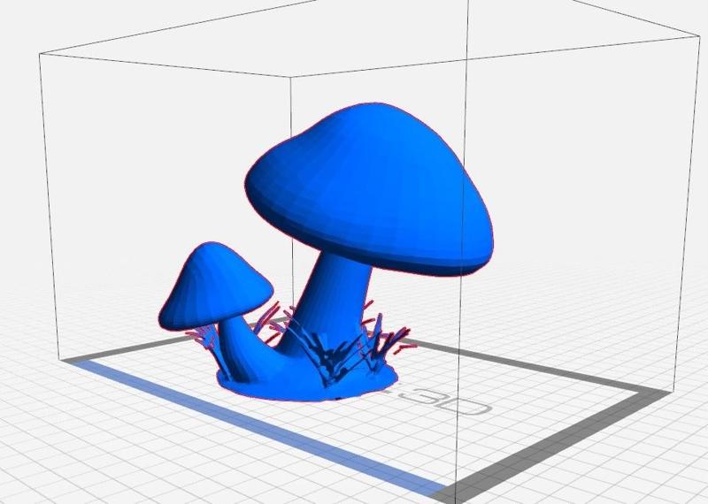 Magic Mushrooms