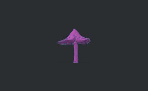 3D Pink Waxcap Mushroom STL – High-Quality Model for Miniatures & DIY 3D Printing Enhance your 3D printing col
